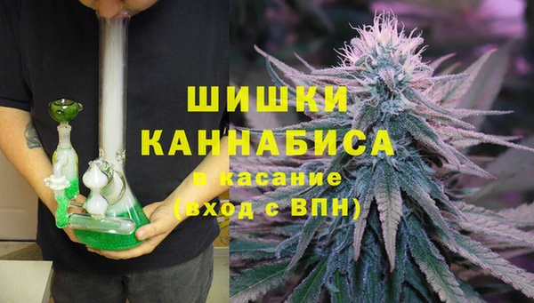 прущий лед Вязьма