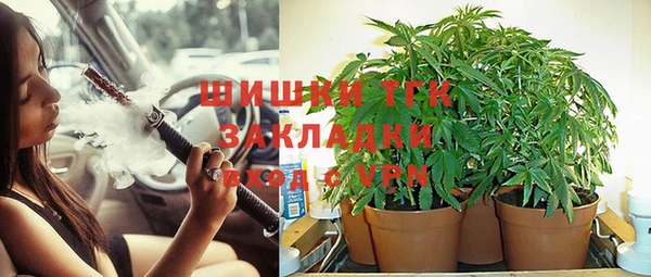 Альфа ПВП Вяземский