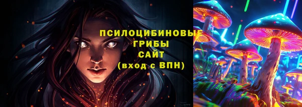 дурь Бородино