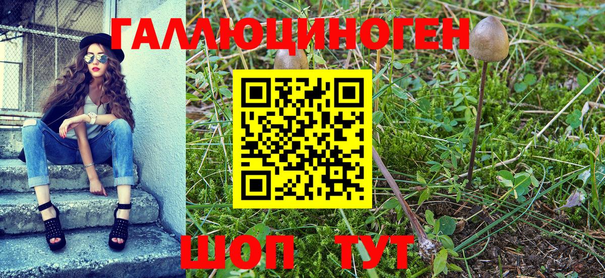 Галлюциногенные грибы GOLDEN TEACHER Елабуга